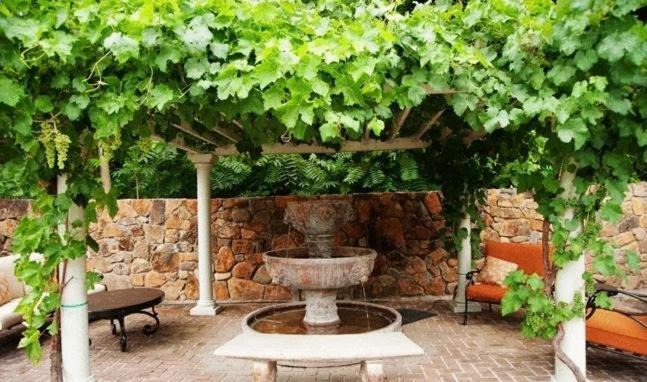 Spanish Villa Inn 세인트 헬레나 외부 사진