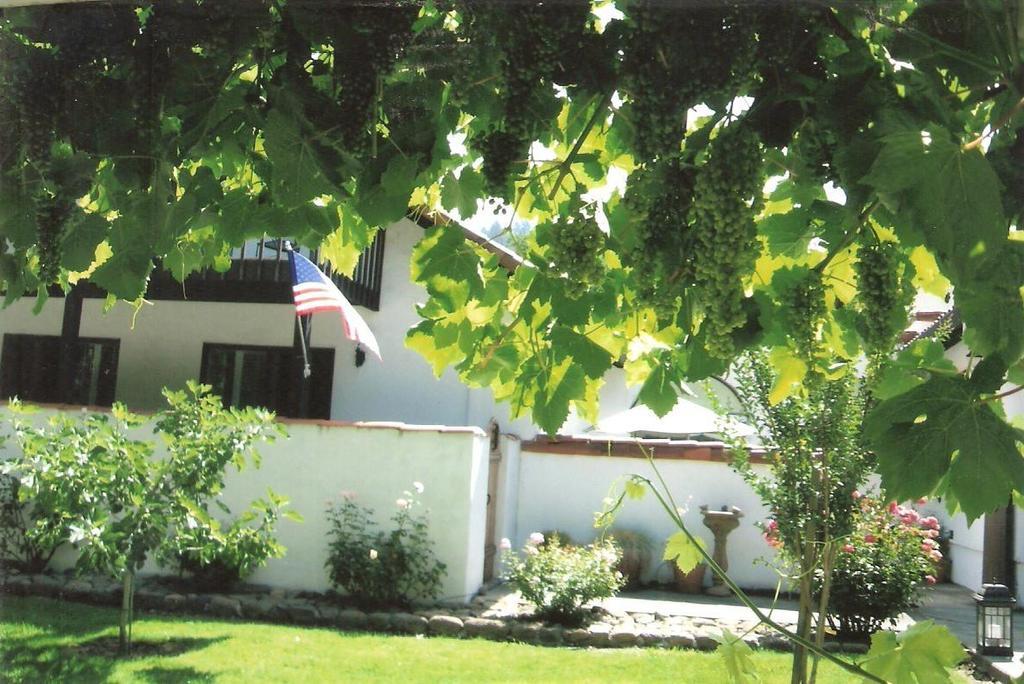 Spanish Villa Inn 세인트 헬레나 외부 사진